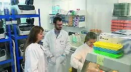 Sonia Quaratino, &laquo;La mia carriera di immunologa a Cambridge. In Sicilia porte chiuse&raquo;