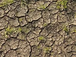 Desertificazione, il 70% della Sicilia &egrave; a rischio