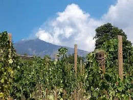 Vino, teatro e musica sull'Etna: torna "Sciaranuova Festival"