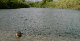 Famiglia in difficolt&agrave; per innalzamento livello del fiume salvata da pompieri