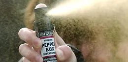 Niscemi, arrestato un ventottenne fermato dallo spray al peperoncino