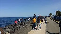 Tanti curiosi a Torre Archirafi per il recupero di una balenottera spiaggiata