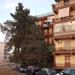 Catania, albero pericolante sui fili della luce in via Anselmi