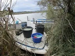 Pescatori di frodo di novellame beccati  nell'Oasi del Simeto