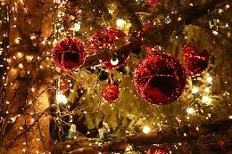Mostre, mercatini, teatro, concerti  e sport: a Catania &egrave; "Natale in citt&agrave;"