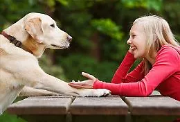 "Dog- speak": parlare al cane migliora il rapporto con lui