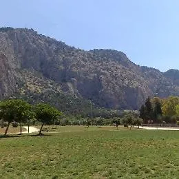 Palermo, al buio il parco della Favorita: rubati 4.000 metri di cavi di rame