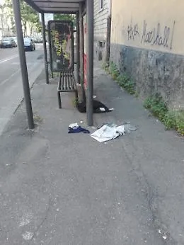 Via Lago di Nicito abbandonata all'incuria
