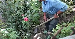 Evade da casa per innaffiare il giardino: anziano arrestato ad Agrigento