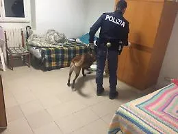 Spaccio nel centro di accoglienza per migranti: perquisizioni a Pergusa