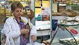 Impiantata a una donna siciliana la prima mano bionica che sente il tatto