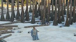 "Troiane", sullo sfondo di un bosco "morto" la speranza che va oltre le rovine