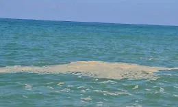 Schiuma e sporcizia nel mare di Letojanni e Giardini: &laquo;Troppe fogne abusive&raquo;