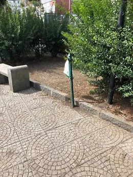 Catania: vegetazione trascurata in Via San Nicol&ograve; al Borgo