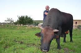 &laquo;La ricchezza della Sicilia? L'emozione di fave e ricotta&raquo;