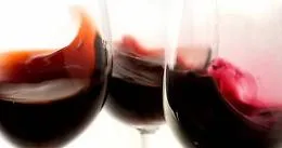 Guida ai vini di Sicilia 2020 sar&agrave; presentata a Radicepura