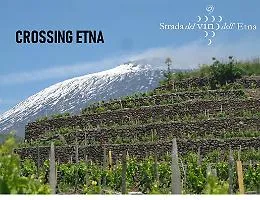 Tour operator e giornalisti stranieri sull'Etna &laquo;Venite a vedere il nostro territorio&raquo;