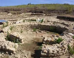 Rogo nell'area archeologica di Mokarta. Il sindaco: &laquo;Gesto vigliacco&raquo;