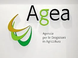 Truffa fondi Ue sui Nebrodi, il paradosso dell'Agea: non &egrave; parte civile
