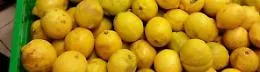 Avola, 22 tn di limoni spagnoli stoccati abusivamente: scatta sequestro