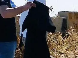 Agrigento, torna il sospetto dei riti satanici alla Rupe Atenea