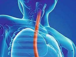 Un esofago bioartificiale totalmente frutto dell'ingegno di due siciliani