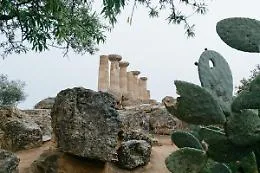 Campo: &laquo;Un marchio Dopo per i prodotti della Valle Valle dei Templi&raquo;
