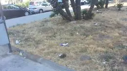 Ma perch&eacute; a Catania non si fanno le multe a chi sporca?