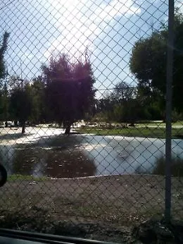 Acqua putrida alla Plaia di Catania: il Comune ne &egrave; a conoscenza?