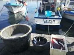 Pesca illegale a Ognina, bloccata un'imbarcazione e multati tre pescatori di frodo