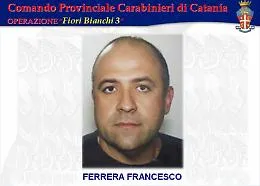 Ville con piscina, frantoi, garage: a Catania sigilli al patrimonio del nipote del boss