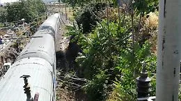 Fiumefreddo, grosso ramo sulla linea ferrata provoca ritardi