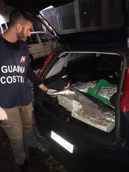 Da dove arriva il pesce del mercato di Aci Trezza? Scattano i controlli