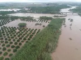 Danni da maltempo in Sicilia, proroga di due giorni per gli aiuti alle aziende agricole