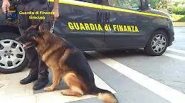 Scommesse abusive e droga, 25enne arrestato dalla Guardia di finanza
