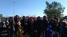 Vaccarizzo: bonificata area comunale antistante la scuola Fontanarossa
