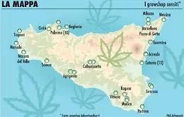 La Cassazione sdogana la cannabis light
ma in Sicilia il business &egrave; gi&agrave; una realt&agrave;