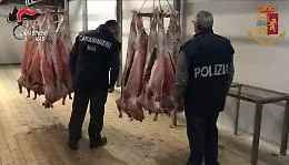 Mattatoio del Catanese macellava ovini di provenienza sconosciuta