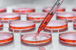 In Sicilia crescono i casi di tumore con 5 neoplasie pi&ugrave; frequenti