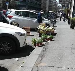 Catania: Via Leopardi &egrave;  diventata un importante centro per il commercio di frutta e verdura!