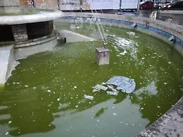 Catania: fontana di Piazza Santa Maria di Ges&ugrave;: "Siamo alla deriva!"