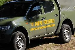 Ars, ok ad articolo su Corpo Forestale. Musumeci: &laquo;Ora i concorsi&raquo;