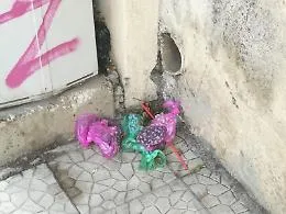Catania: deiezioni canine abbandonate dagli "animalisti&amp;ecologisti"