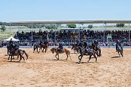 Equitazione: torna in Sicilia (alla Tenuta Ambelia) la Coppa degli Assi
