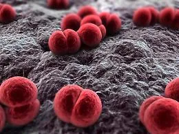 Meningite, &laquo;Nessuna diagnosi tardiva al Gravina di Caltagirone&raquo;