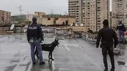 Catania, operazione antidroga a Librino
contro lo spaccio gestito dal gruppo Arena