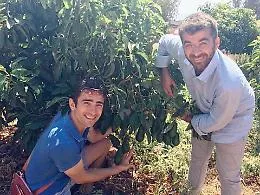 &laquo;Con i super food rendiamo la terra di nuovo redditizia&raquo;