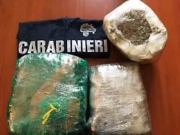 Catania, in casa aveva 10 chili di marijuana: arrestato