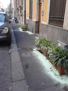 Catania, in via Aloi fioriere non autorizzate e utilizzo di sostanze pericolose