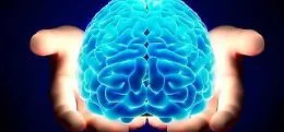 La matematica svela la composizione del cervello: ha 11 dimensioni